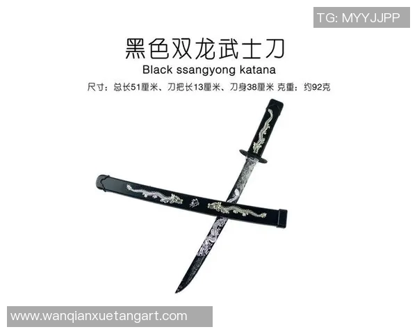 剑道无疆32剑剑谱探秘与传承之路