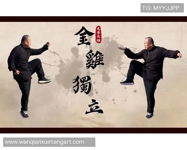 太极拳实战教学探索与应用技巧全面解析与实践分享